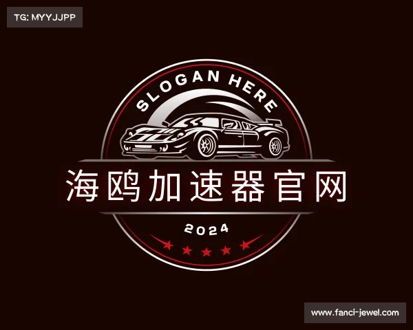 了解海鸥加速器官网